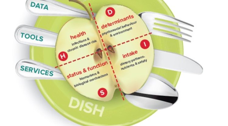 Europe needs a better infrastructure for food and health research (EuroDISH results)