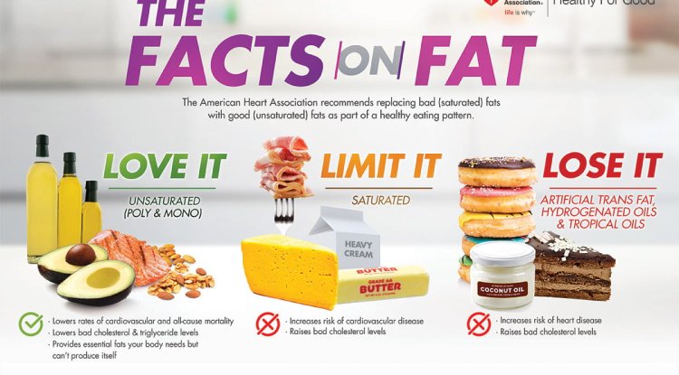 Facts about Fats